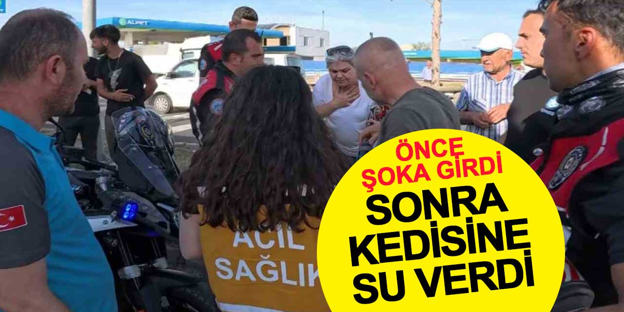 Tırla çarpışan kadın sürücü şoka girdi, sonra kedisine su verdi