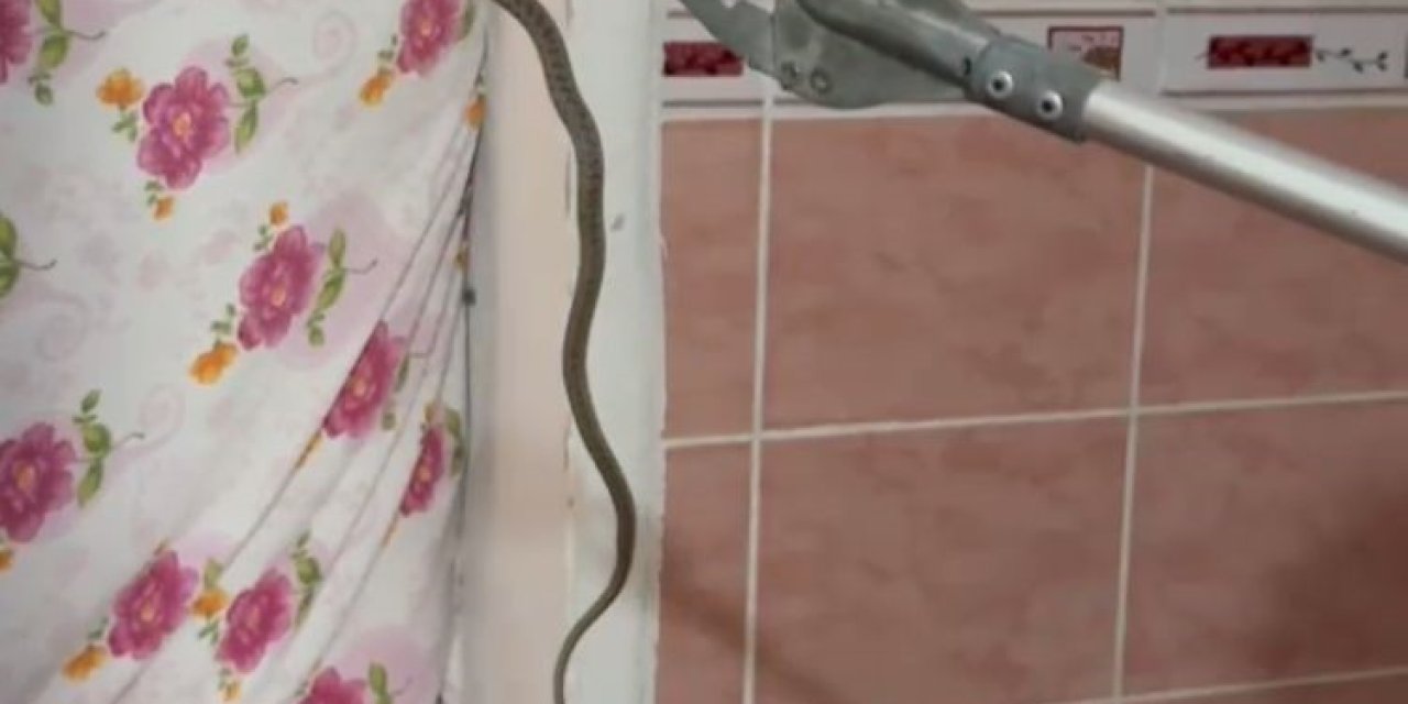 2 gün evde saklanan yılanı itfaiye buldu