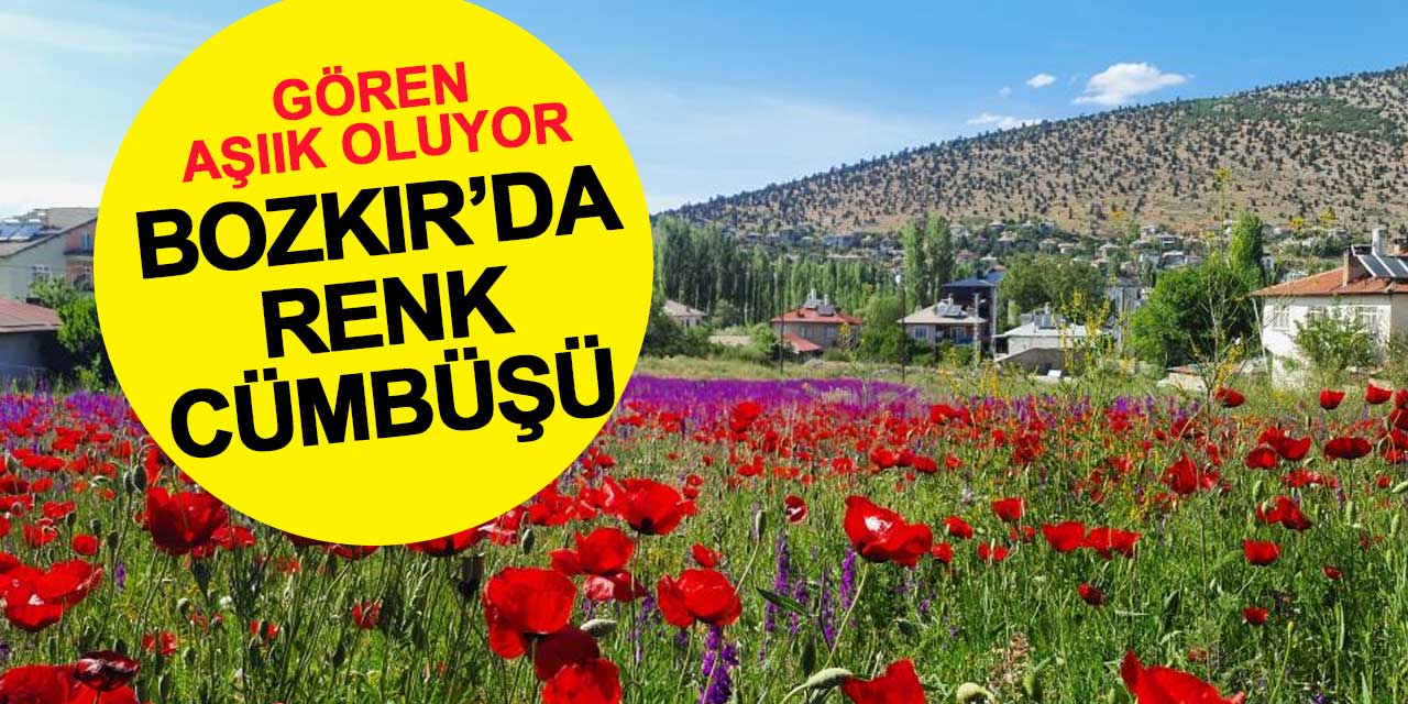 1200 endemik bitkiyle renk cümbüşü