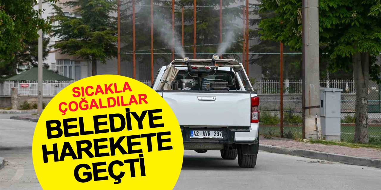 Sıcaklarla Birlikte Geldiler, Selçuklu Belediyesi Harekete Geçti