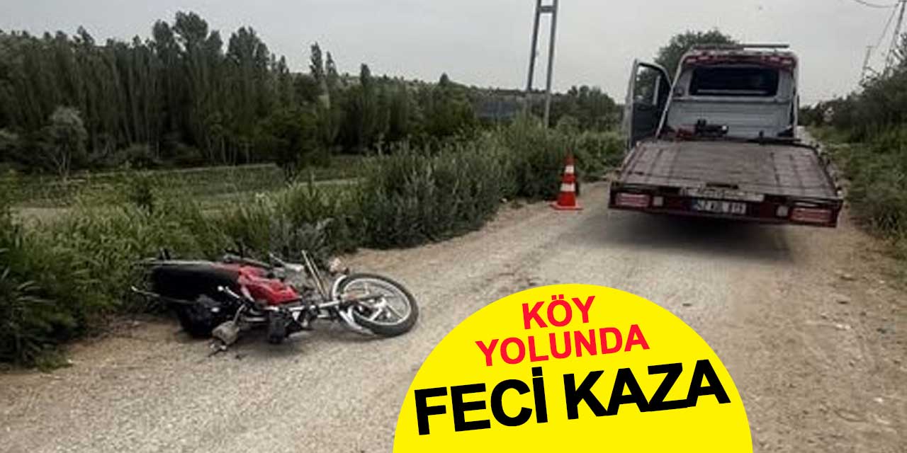 Köy yolunda feci kaza
