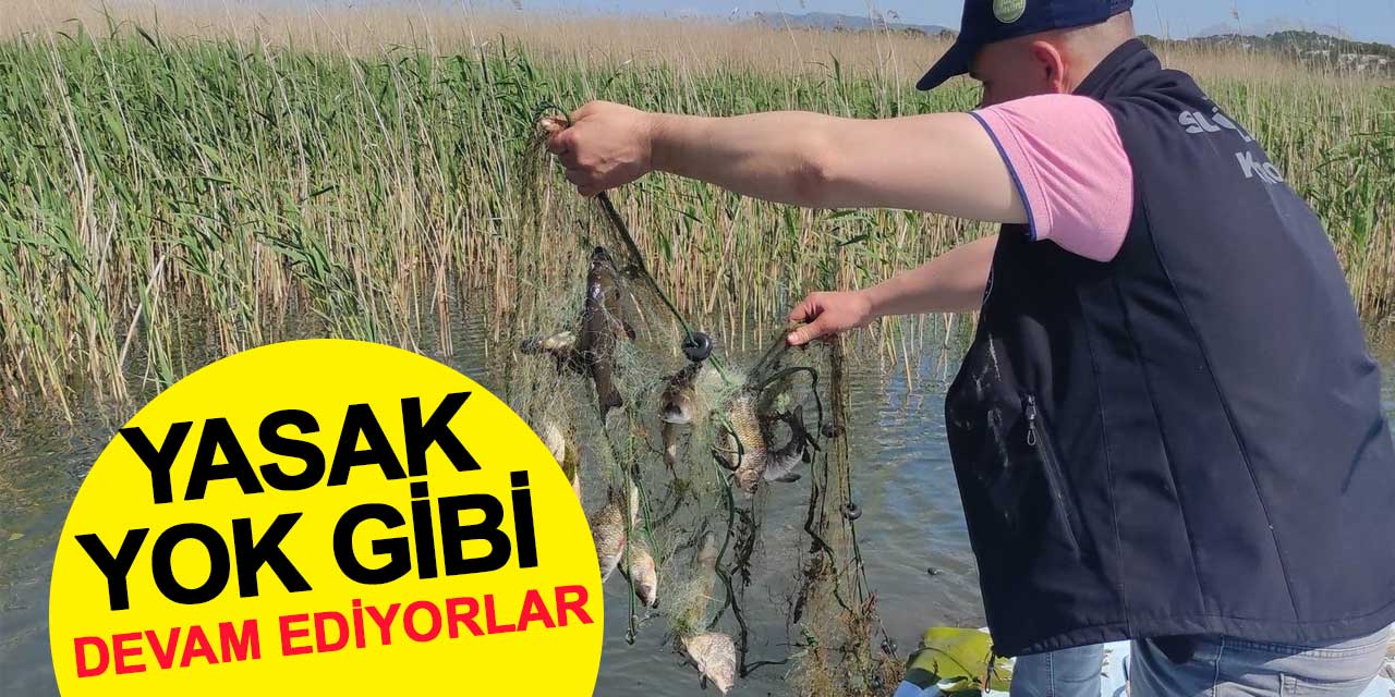 Yasak yokmuş gibi devam ediyorlar