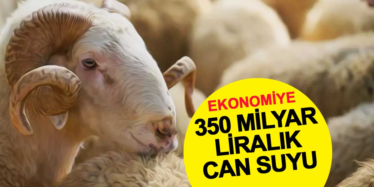 Ekonomiye can suyu: 350 milyar TL’lik hareketlilik bekleniyor