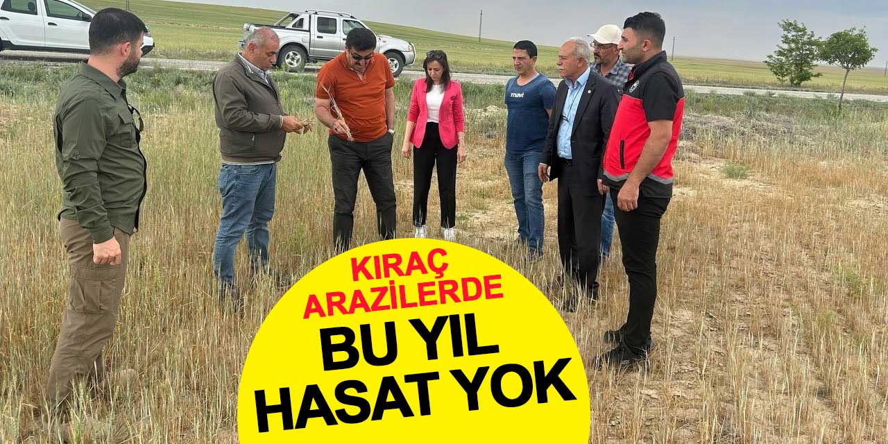Kıraç topraklarda hasat yapılamayacak