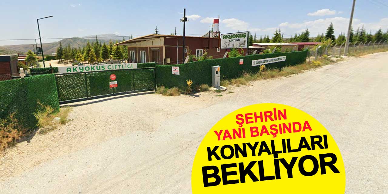 Şehrin yanı başındaki Akyokuş Çiftliği Konyalıları bekliyor