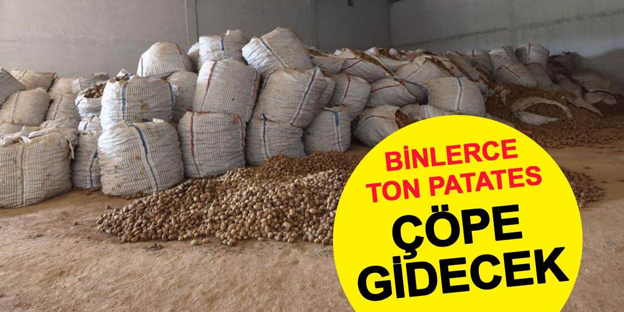 Depoda patates değil, dert birikti: 20 bin ton alıcı bekliyor