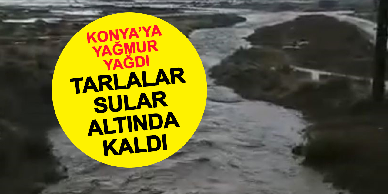 Konya'ya yağmur yağdı tarlalar sular altında kaldı