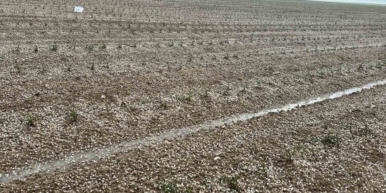 Aksaray'ı kıtlık mı bekliyor? Tarım arazileri göle döndü