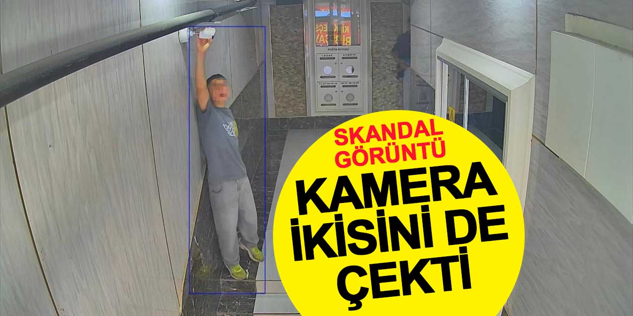 Biri kamerayı çevirdi, öteki tuvaletini yaptı: Diğer kamera ikisini de çekti