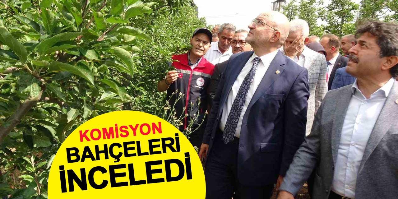Zirai Don Komisyonu Elma Bahçelerini İnceledi