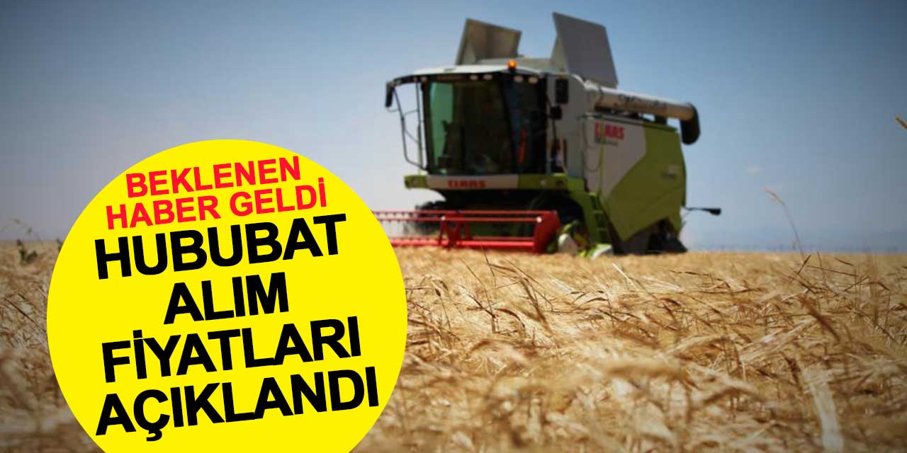2025 hububat alım fiyatları açıklandı