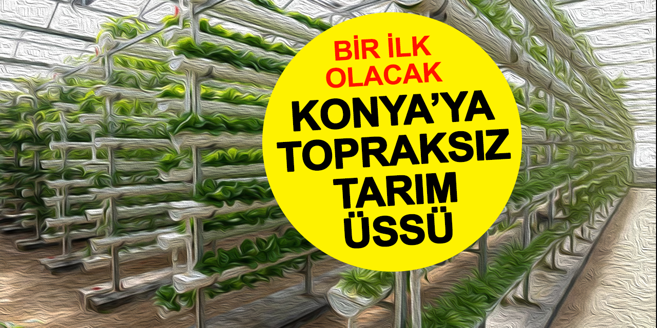 Konya'da bir ilk olacak: Kanyon Park'a topraksız tarım üssü