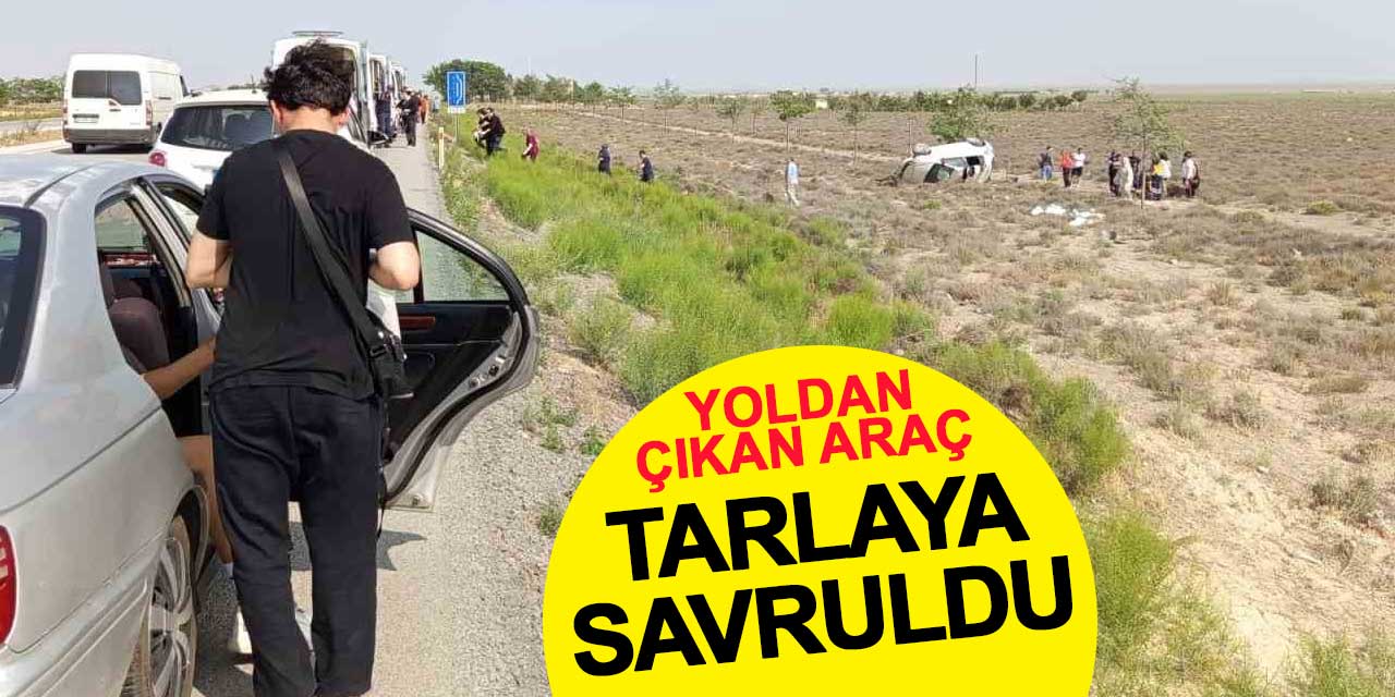 Yoldan çıkan araç tarlaya savruldu