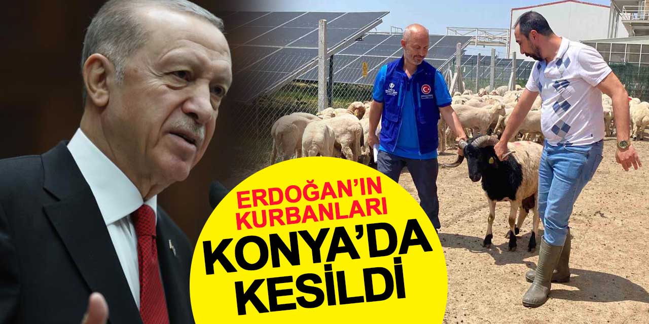 Cumhurbaşkanı Erdoğan’ın Kurbanları Konya’da Kesildi