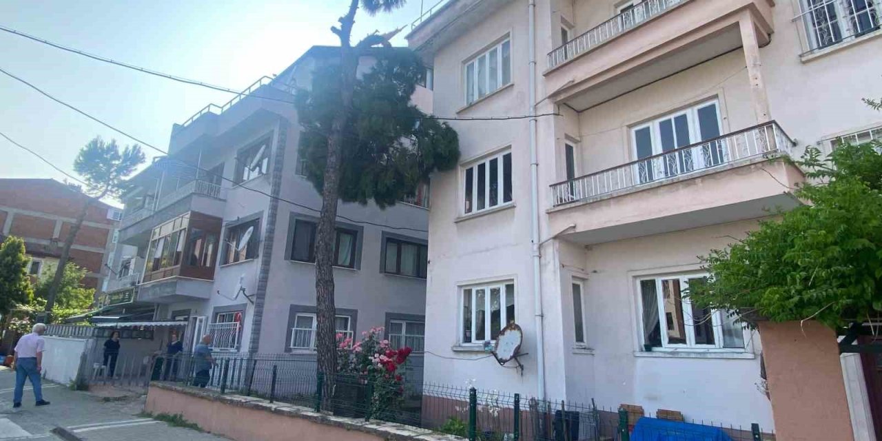 ​​​​​​​Tehlike saçan ağaç paniğe neden oldu: Araçlar çekildi, itfaiye geldi