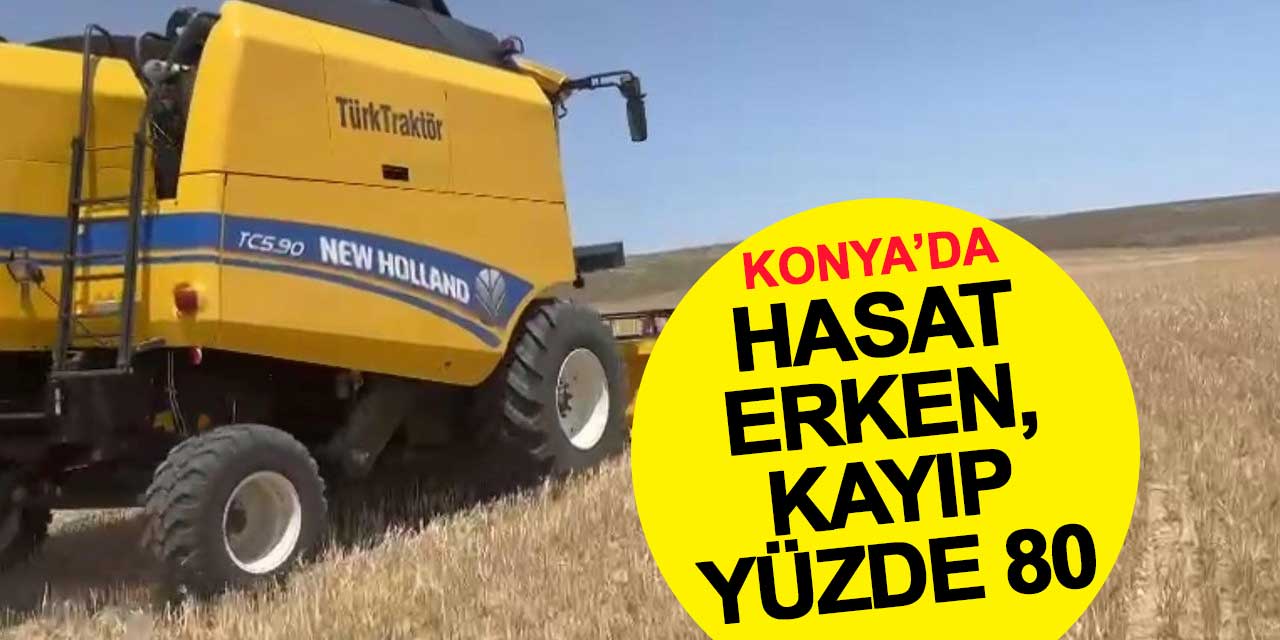 Kuraklık arpa hasadını erken yaptırdı: Kayıp yüzde 80