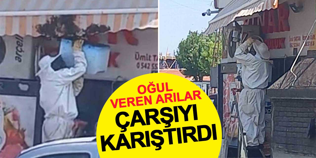 Oğul veren arılar çarşıyı karıştırdı
