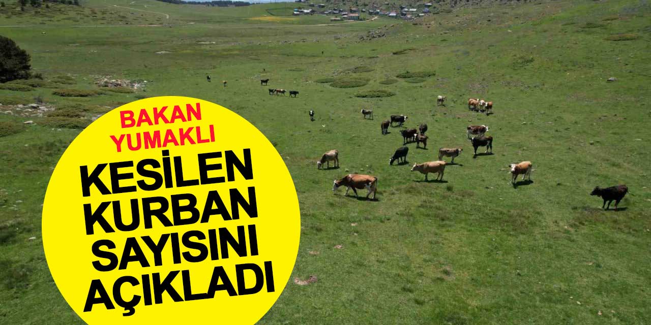 Tarım ve Orman Bakanlığı kesilen kurban sayısını açıkladı