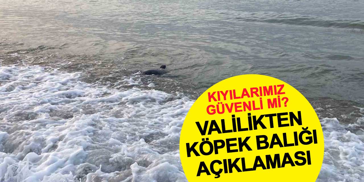 Kıyılarımız güvenli mi? Valilikten köpek balığı açıklaması