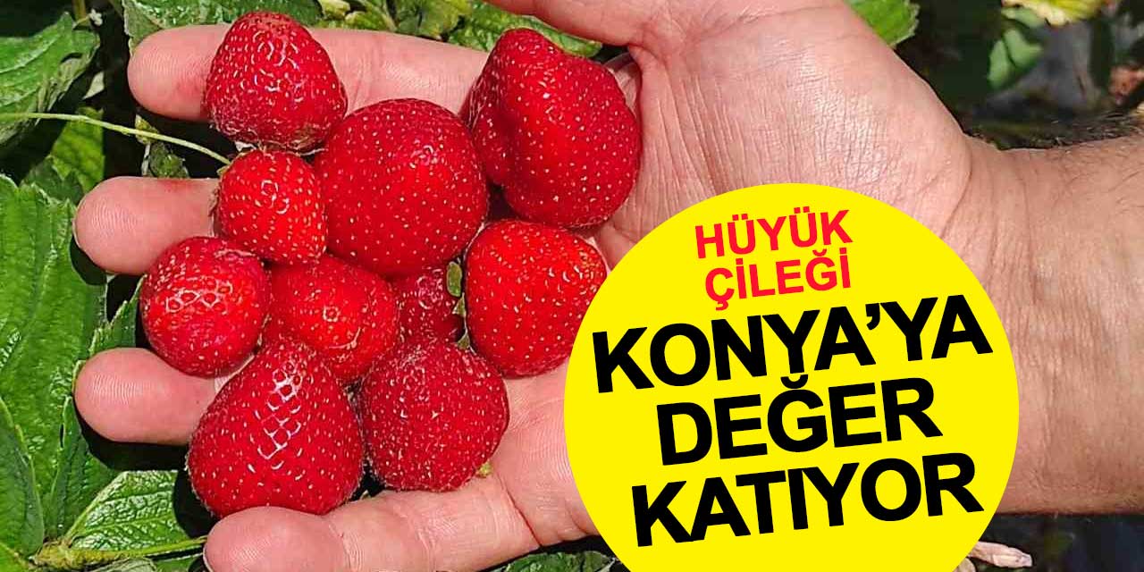 Hüyük Çileği projesi tamamlandı