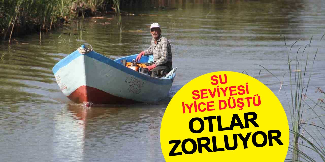 Su seviyesi düştü, Beyşehirli balıkçıları otlar zorluyor