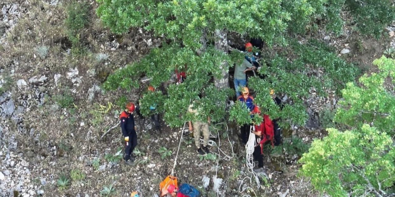 Ihlamur toplarken kayalıklardan düşen emekli polis hayatını kaybetti