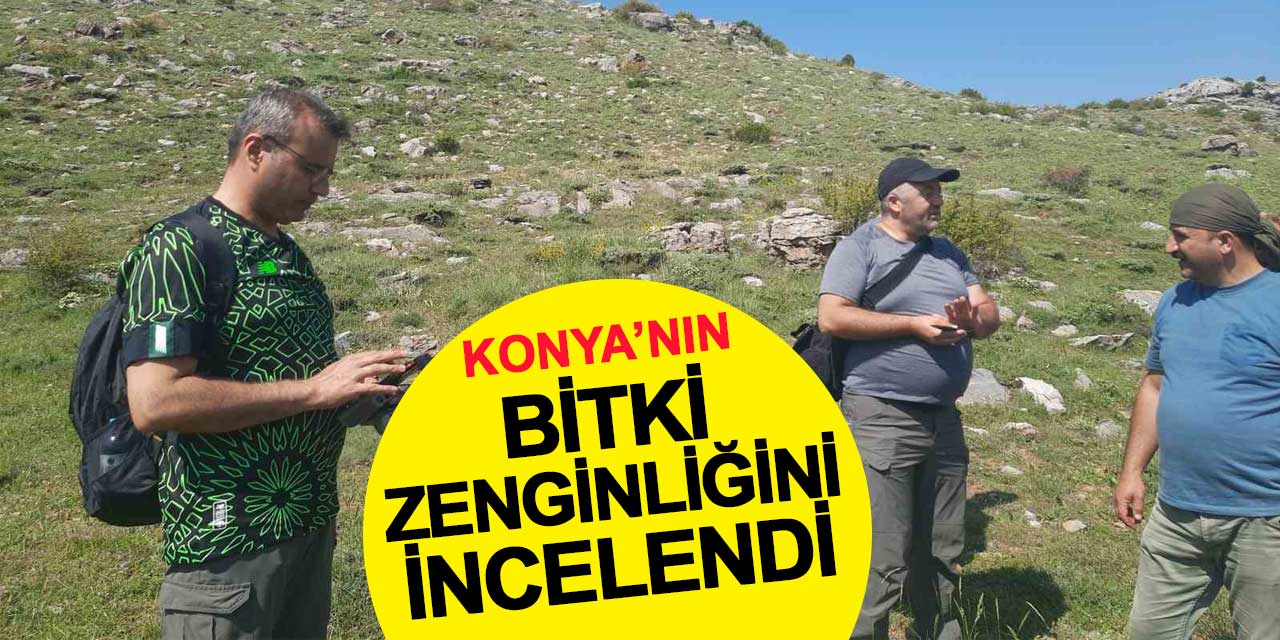 Dereköy Dikilitaş Yaylası’nda Endemik Bitki Florası İncelendi