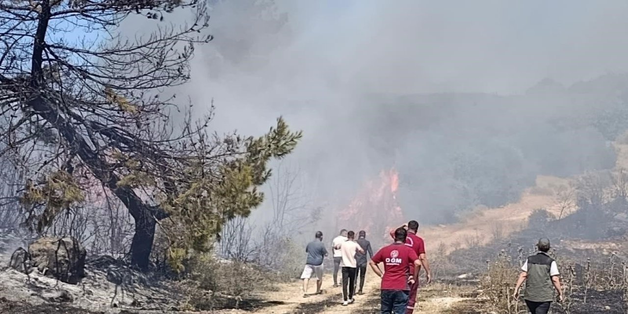 Semaver ateşi ormanı yakıyordu