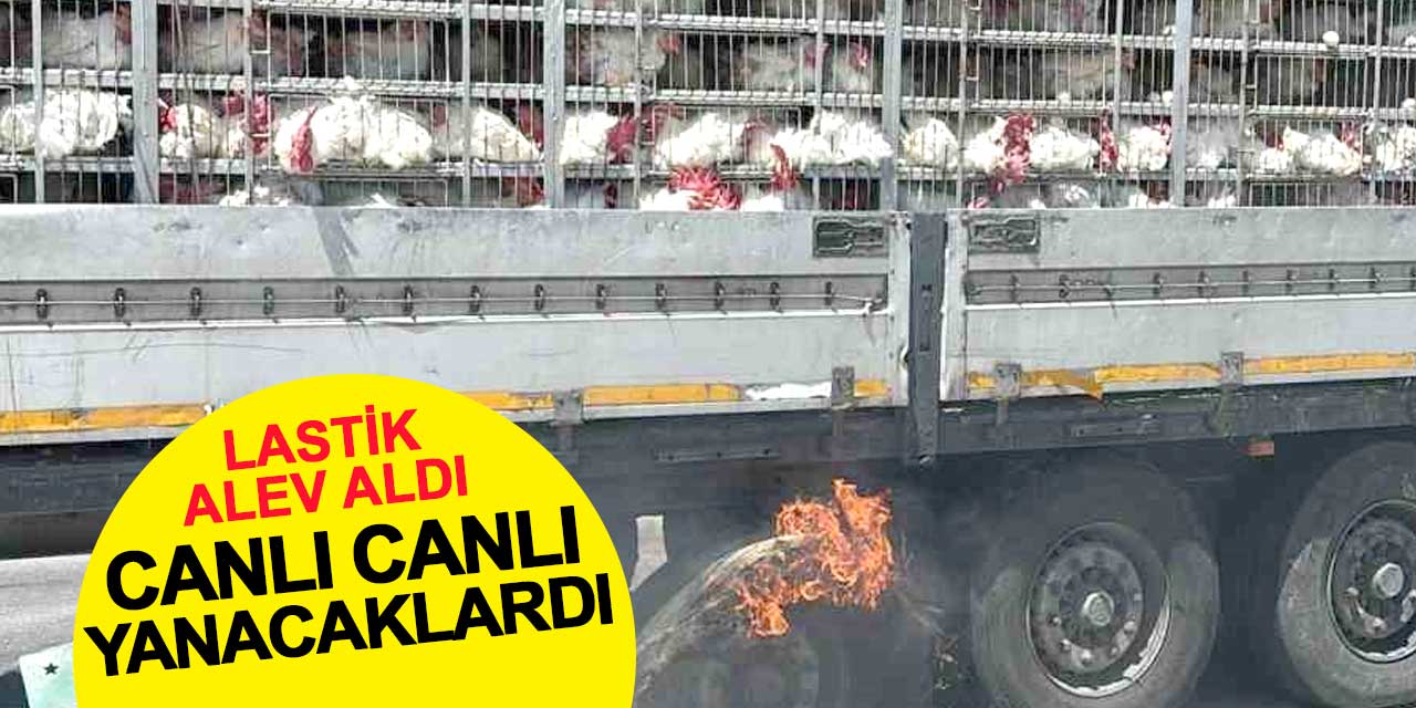 Lastikler alev aldı: Tavuklar canlı canlı yanacaktı