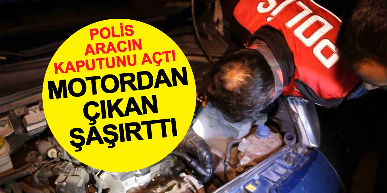 Polis uygulamasında kedi sürprizi