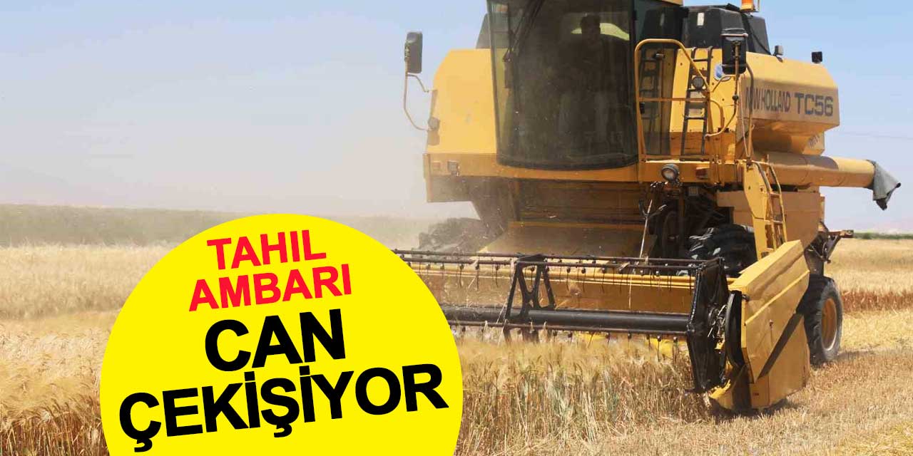 Konya Ovası can çekişiyor