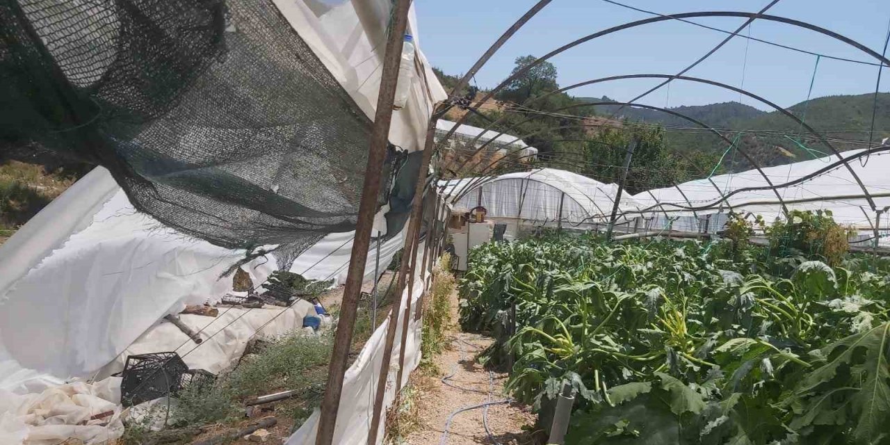 Antalya'da Hortum Felaketi: Seralar Kullanılamaz Hale Geldi