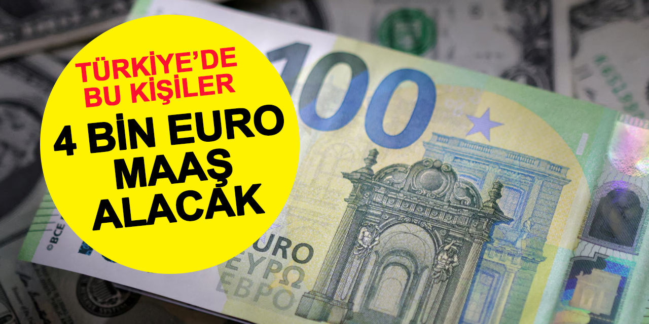 Türkiye'de bu kişiler "evet" derse 4 bin Euro maaş alacak