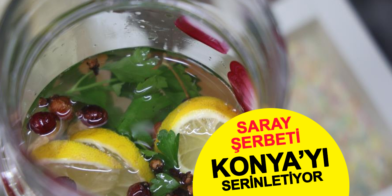 Osmanlı’dan Günümüze: Yazın Serinleten Ev Yapımı Saray Şerbeti