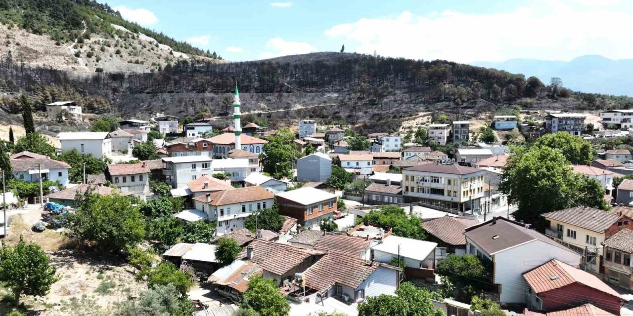 Orman Yangını Yürekleri De Yaktı: Mahalle Küller İçinde Kaldı