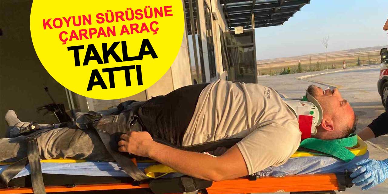 Konya'da Koyun Sürüsüne Çarpan Araç Takla Attı