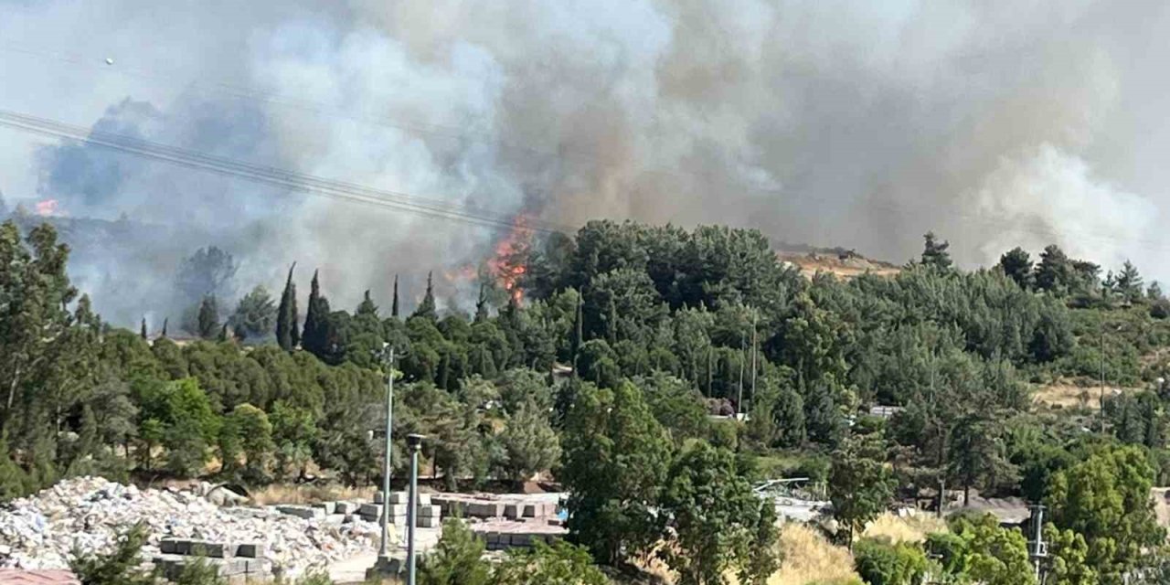 Çöp depolama alanındaki yangın ormana sıçradı
