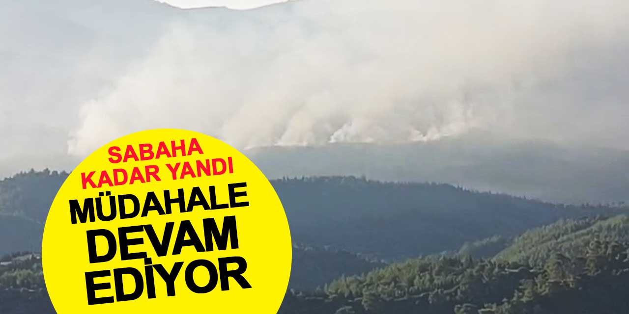 İzmir yanıyor, müdahale devam ediyor