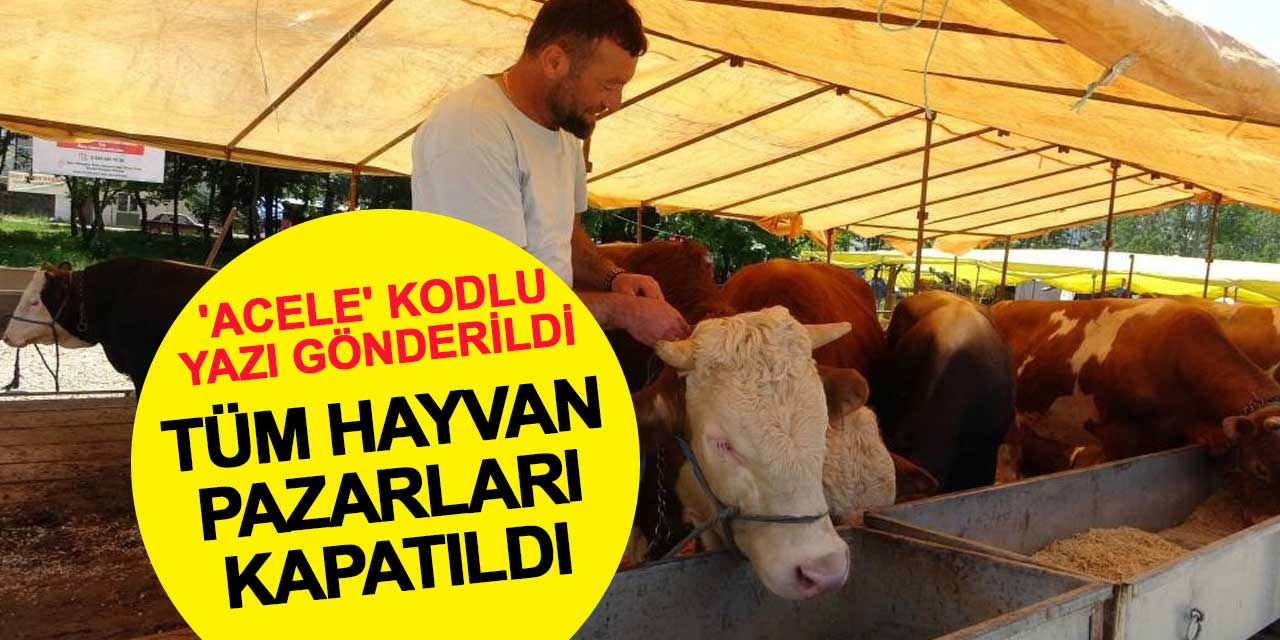 'Acele' kodlu yazı gönderildi: Tüm hayvan pazarları kapatıldı