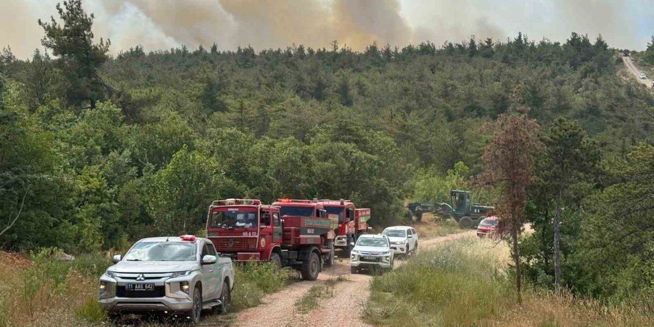 Bilecik’te 2 köyün tahliye edildiği yangın kontrol altına alındı