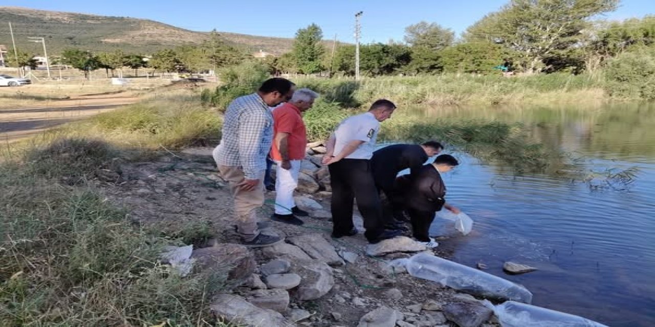 Hüyük’te göletler balıklandırıldı