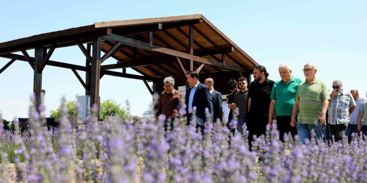 Karatay Lavanta Bahçesi klasiği: Başkan basınla buluştu