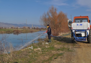 Seydişehir’de haşereyle mücadele çalışmaları
