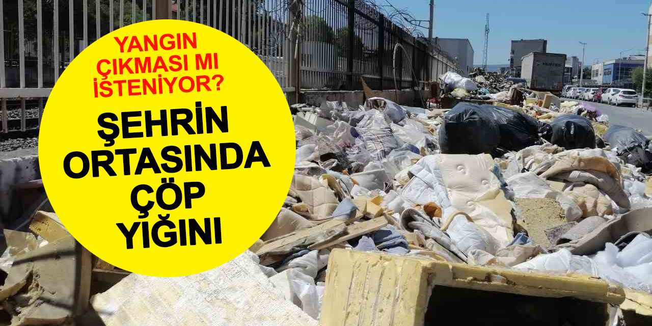 Ege'nin incisiydi çöp dağlarında boğuldu