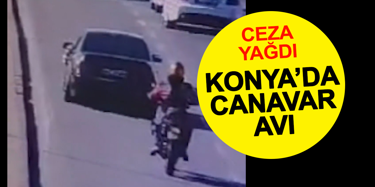 Konya'da canavar avı