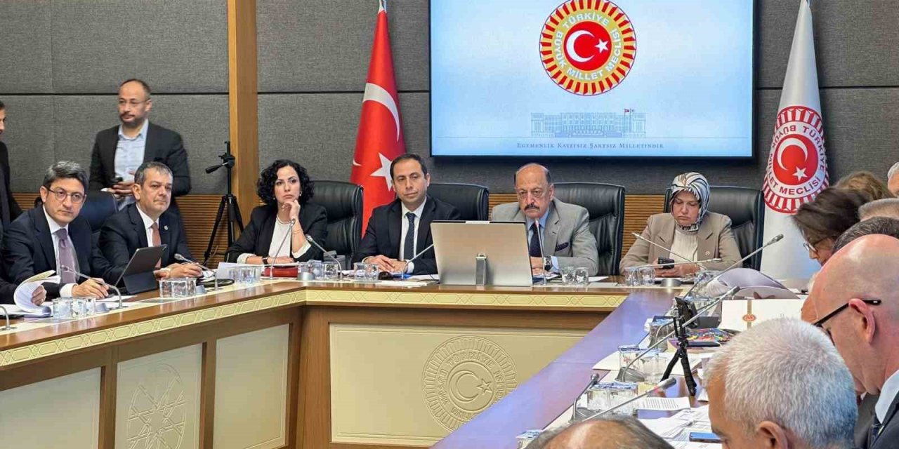 Özel hastane doktorları 2 hastanede çalışabilecek
