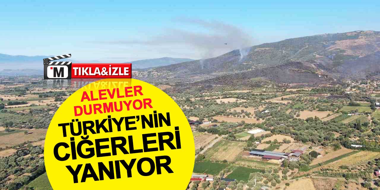 Alevler durmuyor: Türkiye'nin ciğerleri yanıyor
