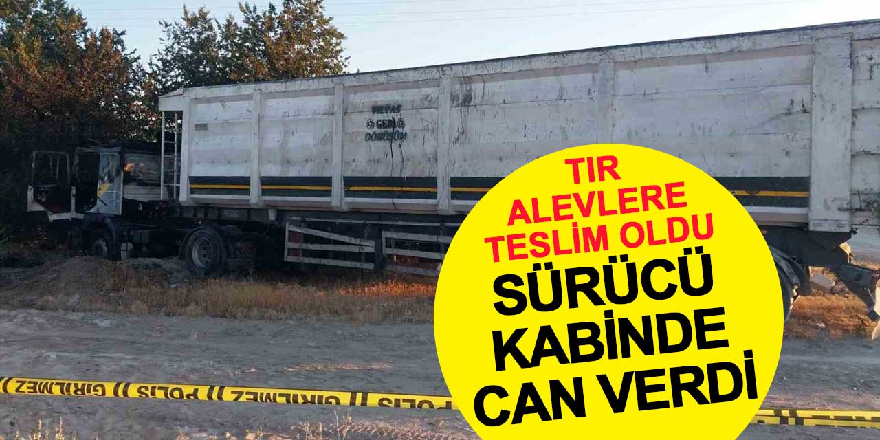 Tır alevlere teslim oldu: Sürücü kabinde can verdi