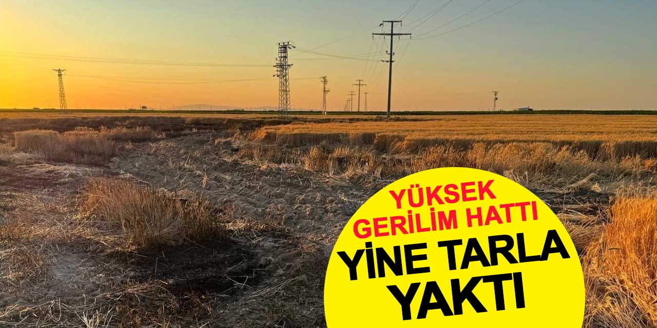 Yüksek gerilim hattı yine tarla yaktı