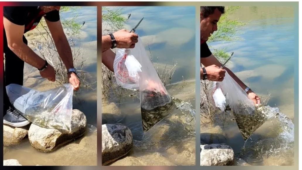 Niğde'den bereket fışkırıyor